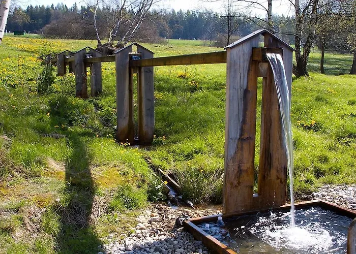Гостевой дом Stara Vapenka Svinna (Klatovy)